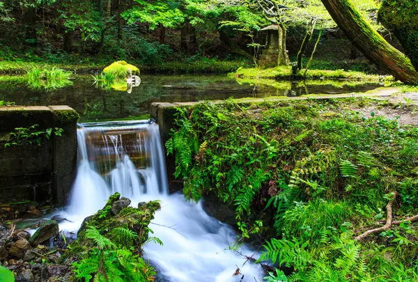 山吹水源の写真・動画_image_521914