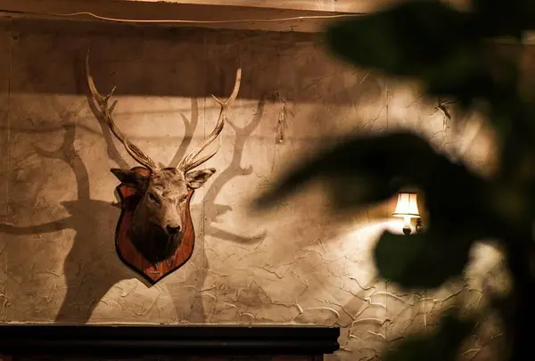 ｃａｆｅ ｃａｒａｔ