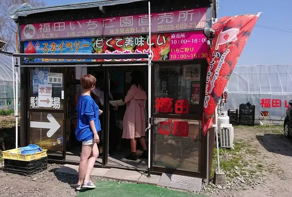 福田いちご園