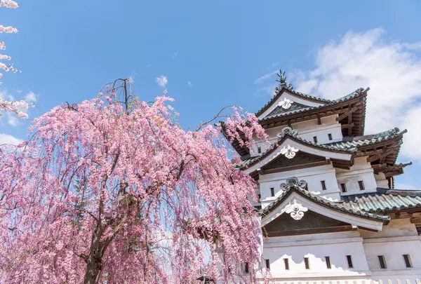 弘前城の写真・動画_image_522640