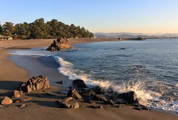 桂浜の写真・動画_image_522651