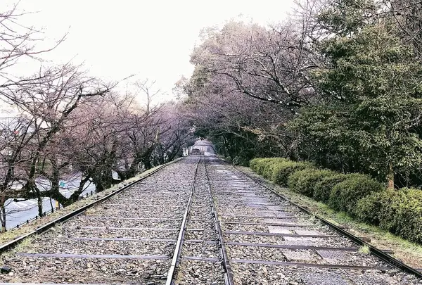 蹴上インクライン