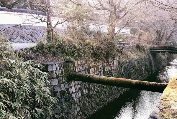 哲学の道