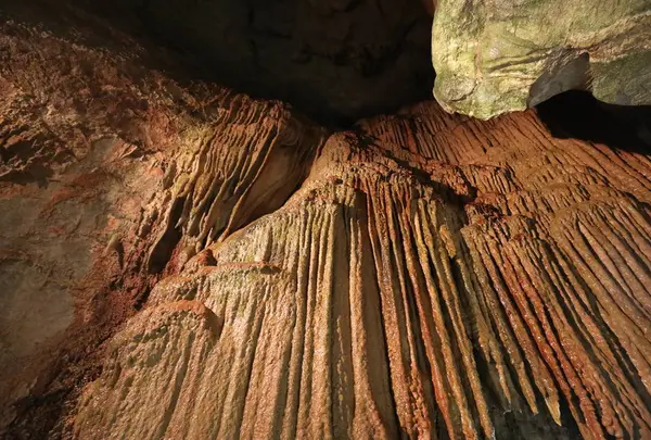 龍河洞の写真・動画_image_525388