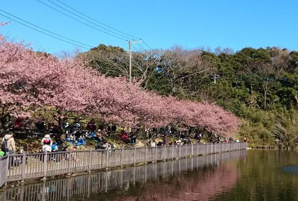 小松ケ池公園