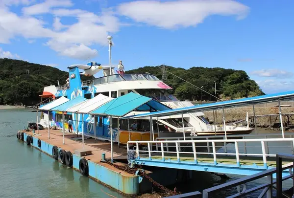 イルカ島