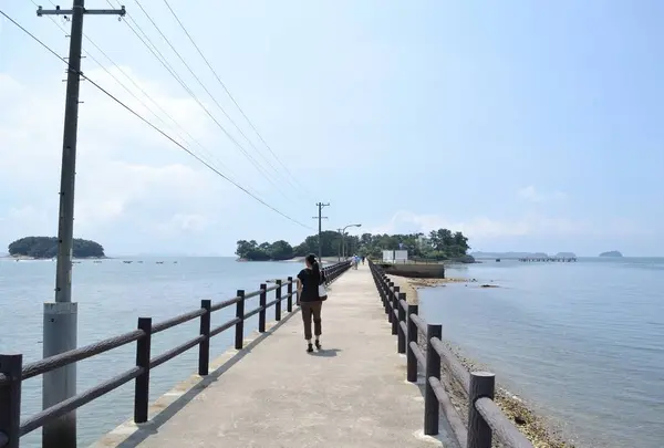 佐久島の写真・動画_image_526498