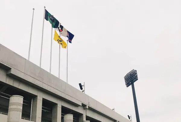 相模原ギオンスタジアム（相模原麻溝公園競技場）の写真・動画_image_526588