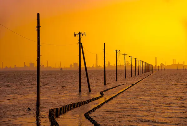 江川海岸の写真・動画_image_526877