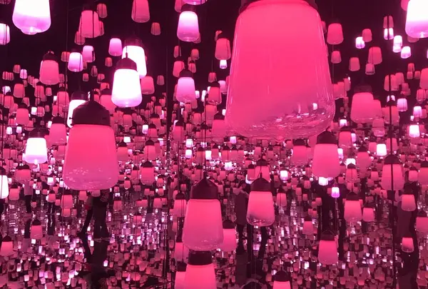 【閉業】森ビルデジタルアートミュージアム：エプソン チームラボボーダレス（MORI Building Digital Art Museum: EPSON teamLab Borderless）の写真・動画_image_527377