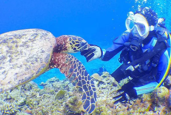 慶良間諸島周辺