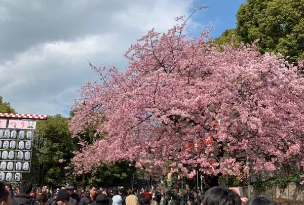 上野恩賜公園