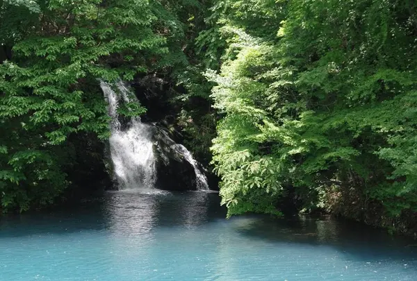 桃太郎の滝