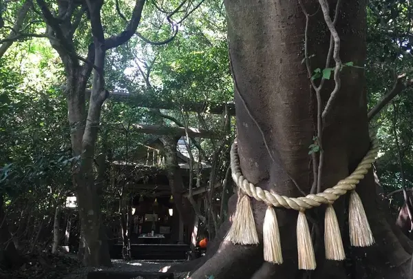 八大龍王水神