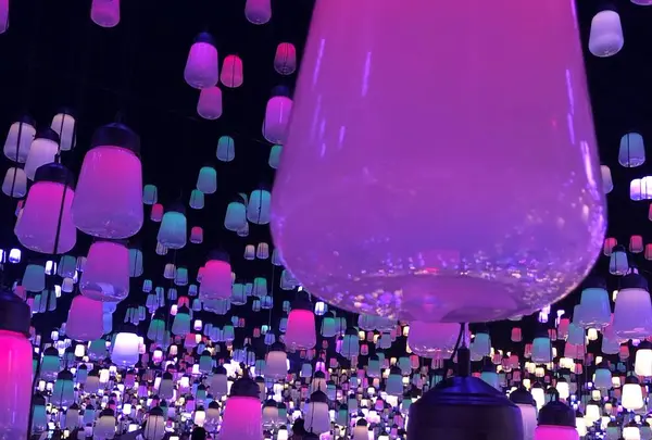 【閉業】森ビルデジタルアートミュージアム：エプソン チームラボボーダレス（MORI Building Digital Art Museum: EPSON teamLab Borderless）の写真・動画_image_532745