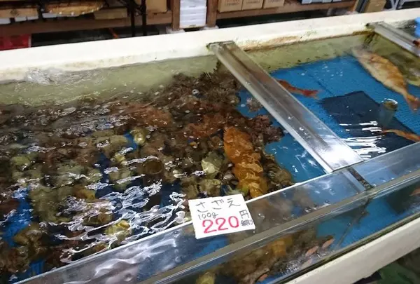 マルヤ水産