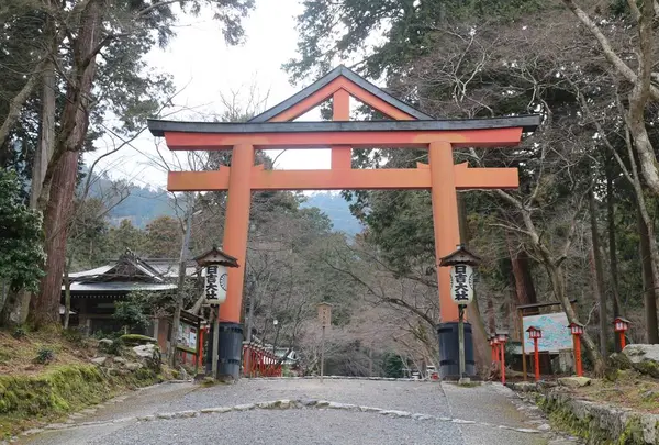 日吉大社の写真・動画_image_533720