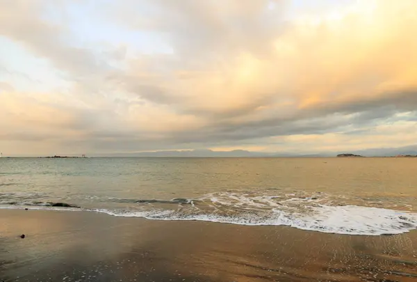 逗子海岸の写真・動画_image_535533