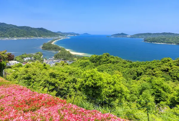天橋立ビューランドの写真・動画_image_535553