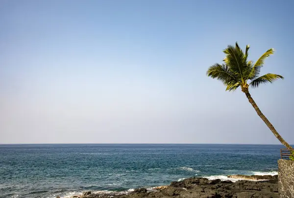 Island of Hawaii（ハワイ島）の写真・動画_image_536508