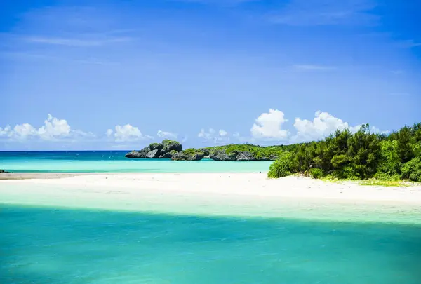 伊良部島の写真・動画_image_537275