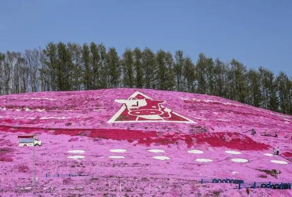 ひがしもこと芝桜公園