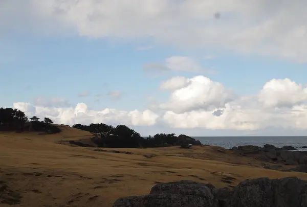 種差海岸
