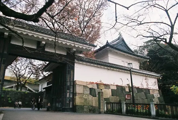田安門  🌸見頃