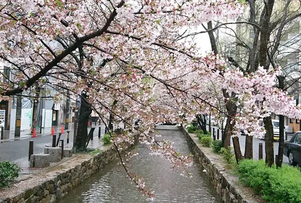 木屋町