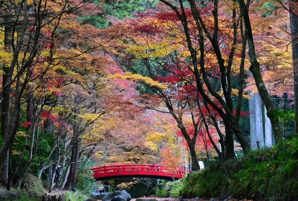 小國神社
