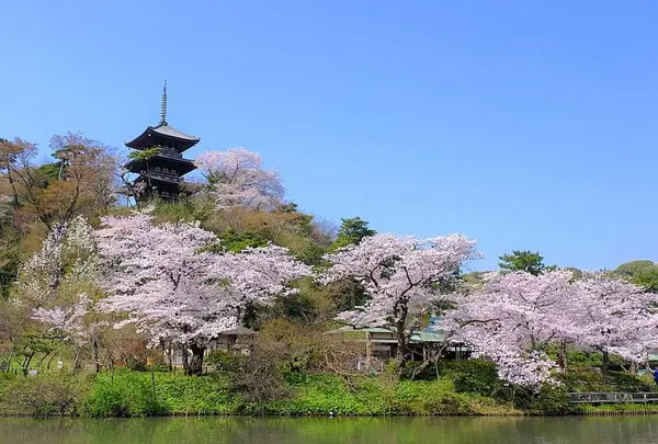 三溪園