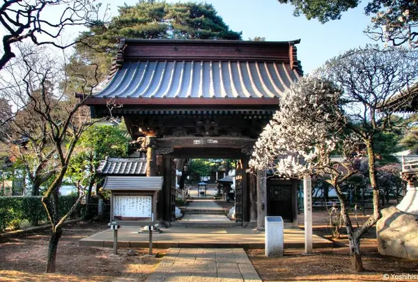 三寳寺