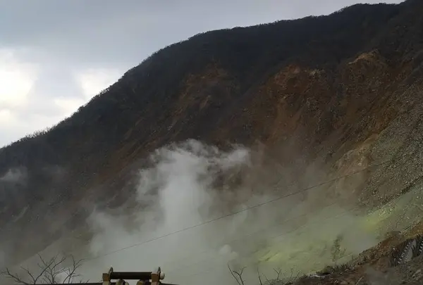 大涌谷くろたまご館の写真・動画_image_541472