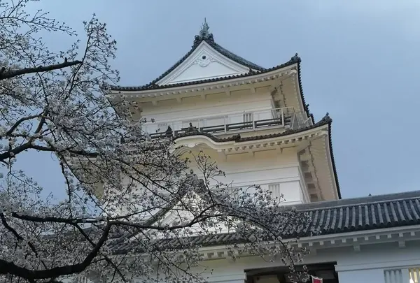 小田原城