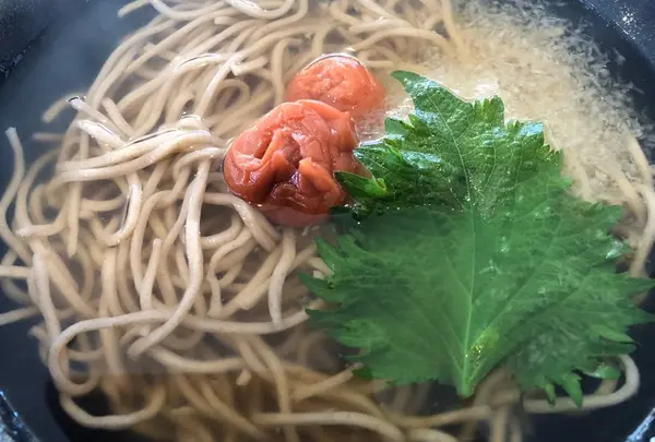 宝うどん