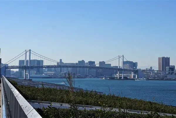 豊洲市場 屋上緑化広場