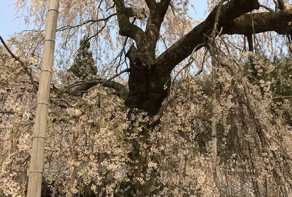 嶌頭山 徳勝寺