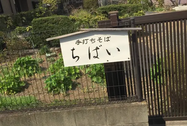 ちばいの写真・動画_image_545709