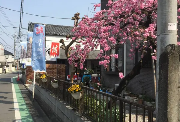 井上源三郎資料館の写真・動画_image_545715