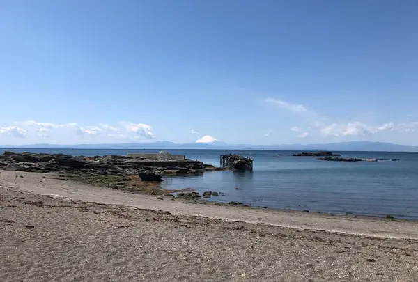 荒井浜海水浴場の写真・動画_image_546814