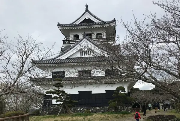 館山城跡の写真・動画_image_546883