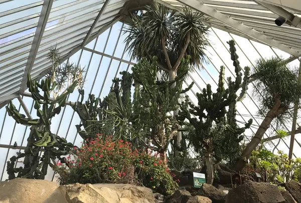 伊豆シャボテン公園