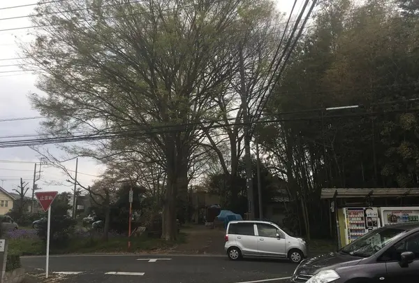 神亀酒造㈱