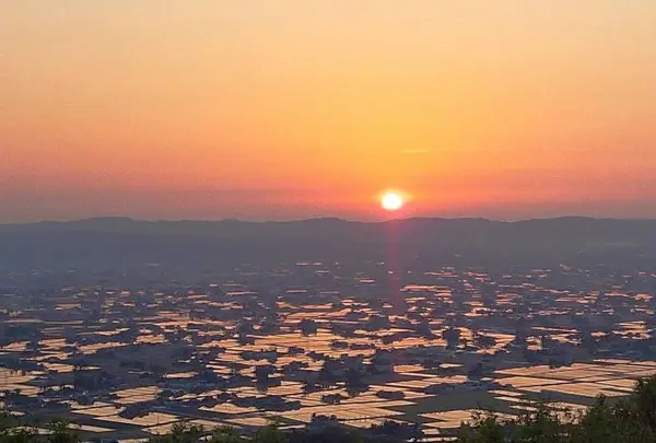 砺波平野の散居村（散居村展望台）