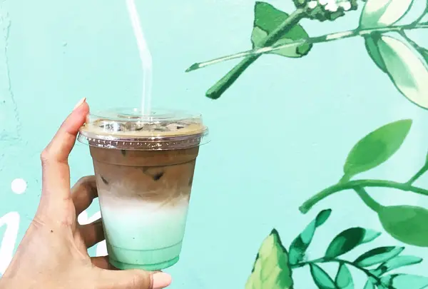 （ミントハイム MINT HEIM）