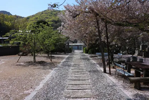 小豆島霊場第8番 常光寺の写真・動画_image_552976