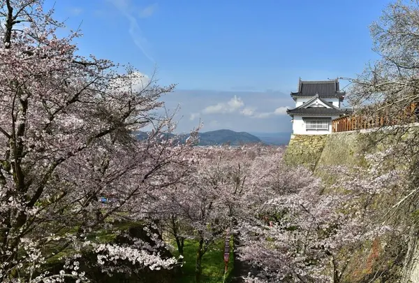 津山城跡