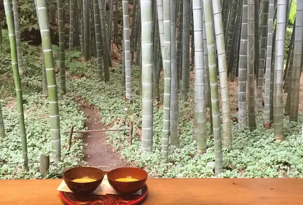 報国寺（竹寺）