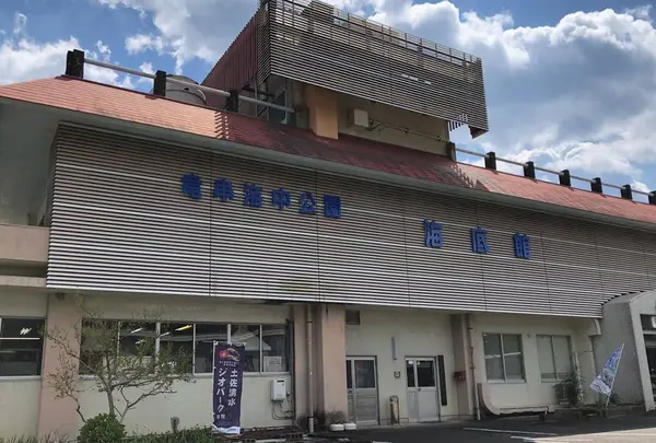 足摺海底館の写真・動画_image_556459
