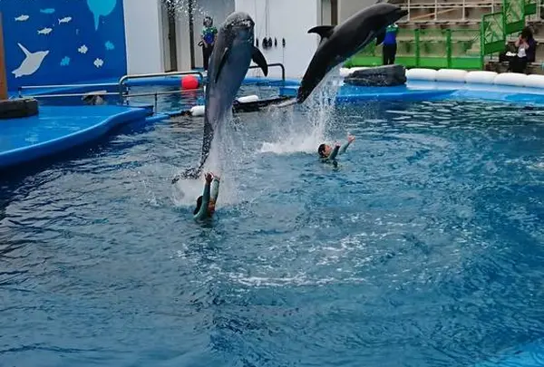 仙台うみの杜水族館